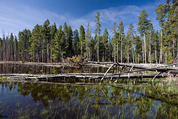 Firehole Lake 03